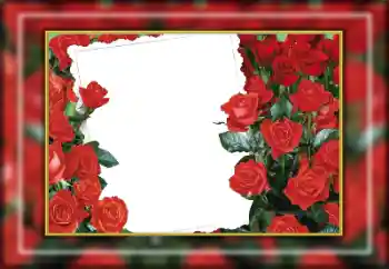 범주에서의 사진 효과 여성 프레임 № 169274 범주에서의 사진 효과 여성 프레임 № 169274