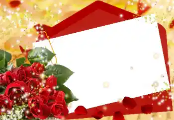 범주에서의 사진 효과 여성 프레임 № 16990