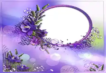 범주에서의 사진 효과 여성 프레임 № 16993