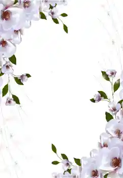 범주에서의 사진 효과 여성 프레임 № 16997