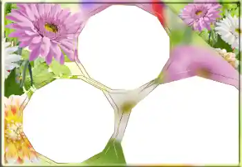 범주에서의 사진 효과 여성 프레임 № 170418 범주에서의 사진 효과 여성 프레임 № 170418