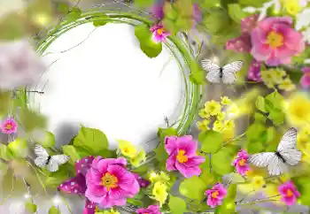 범주에서의 사진 효과 여성 프레임 № 170446 범주에서의 사진 효과 여성 프레임 № 170446