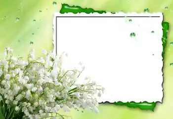 범주에서의 사진 효과 여성 프레임 № 170480 범주에서의 사진 효과 여성 프레임 № 170480