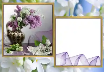 범주에서의 사진 효과 여성 프레임 № 170570 범주에서의 사진 효과 여성 프레임 № 170570