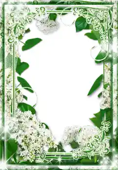 범주에서의 사진 효과 여성 프레임 № 17130