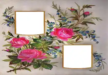 범주에서의 사진 효과 여성 프레임 № 171684 범주에서의 사진 효과 여성 프레임 № 171684