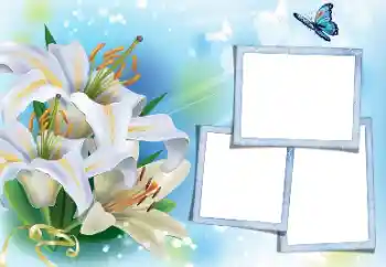 범주에서의 사진 효과 여성 프레임 № 171813 범주에서의 사진 효과 여성 프레임 № 171813