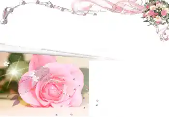 범주에서의 사진 효과 여성 프레임 № 17183