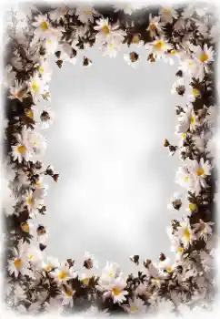 범주에서의 사진 효과 여성 프레임 № 172819 범주에서의 사진 효과 여성 프레임 № 172819