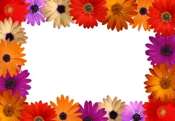 범주에서의 사진 효과 여성 프레임 № 172916 범주에서의 사진 효과 여성 프레임 № 172916