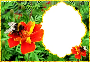 범주에서의 사진 효과 여성 프레임 № 172931 범주에서의 사진 효과 여성 프레임 № 172931