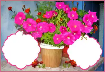 범주에서의 사진 효과 여성 프레임 № 172978 범주에서의 사진 효과 여성 프레임 № 172978