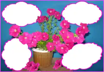 범주에서의 사진 효과 여성 프레임 № 172980 범주에서의 사진 효과 여성 프레임 № 172980