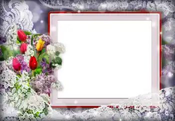 범주에서의 사진 효과 여성 프레임 № 172981 범주에서의 사진 효과 여성 프레임 № 172981