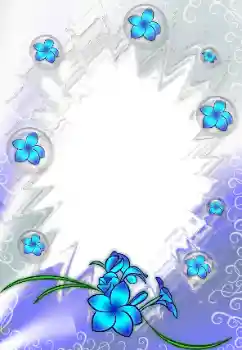 범주에서의 사진 효과 여성 프레임 № 172983