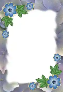 범주에서의 사진 효과 여성 프레임 № 172985