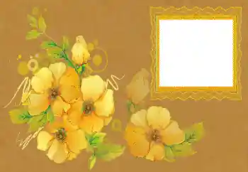 범주에서의 사진 효과 여성 프레임 № 172996