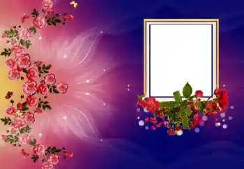 범주에서의 사진 효과 여성 프레임 № 173003