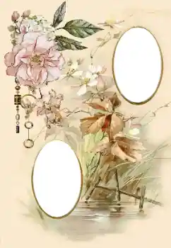 범주에서의 사진 효과 여성 프레임 № 174098