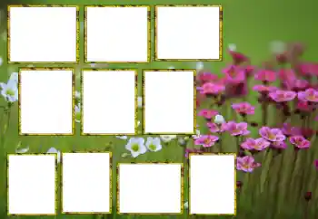 범주에서의 사진 효과 여성 프레임 № 174173