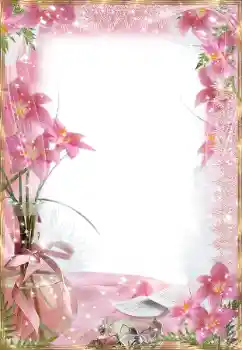 범주에서의 사진 효과 여성 프레임 № 174188