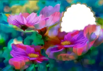 범주에서의 사진 효과 여성 프레임 № 174295