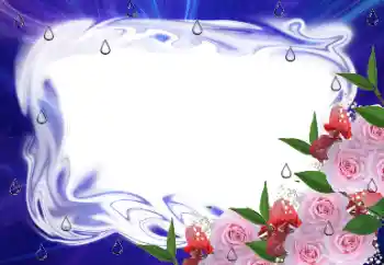 범주에서의 사진 효과 여성 프레임 № 174323