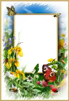 범주에서의 사진 효과 여성 프레임 № 175352