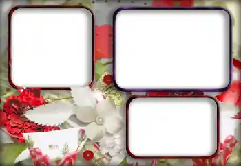 범주에서의 사진 효과 여성 프레임 № 175496