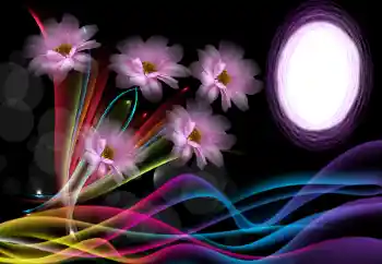 범주에서의 사진 효과 여성 프레임 № 175500