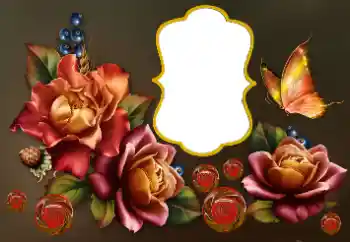 범주에서의 사진 효과 여성 프레임 № 175501