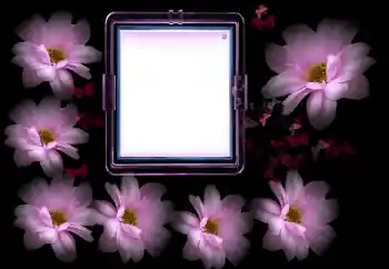 범주에서의 사진 효과 여성 프레임 № 175502