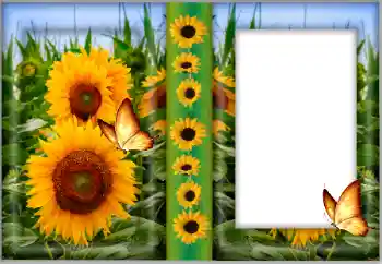 범주에서의 사진 효과 여성 프레임 № 175542