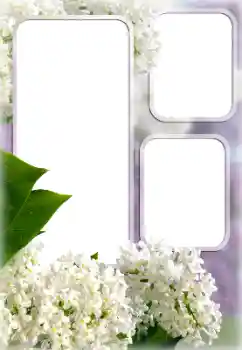 범주에서의 사진 효과 여성 프레임 № 176613