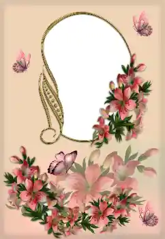 범주에서의 사진 효과 여성 프레임 № 176644