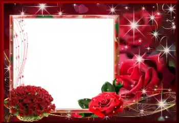 범주에서의 사진 효과 여성 프레임 № 176740