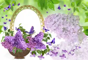 범주에서의 사진 효과 여성 프레임 № 177975