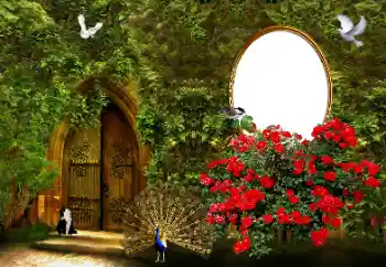 범주에서의 사진 효과 여성 프레임 № 178046