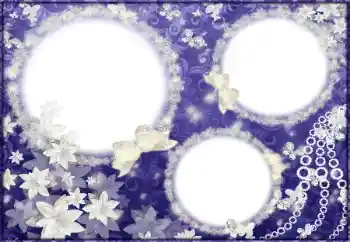 범주에서의 사진 효과 여성 프레임 № 178061