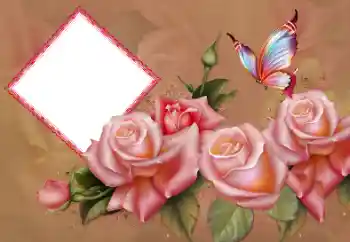 범주에서의 사진 효과 여성 프레임 № 178101