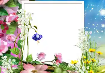 범주에서의 사진 효과 여성 프레임 № 178206