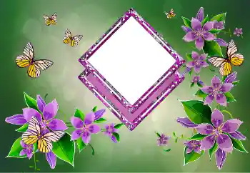 범주에서의 사진 효과 여성 프레임 № 178292 범주에서의 사진 효과 여성 프레임 № 178292