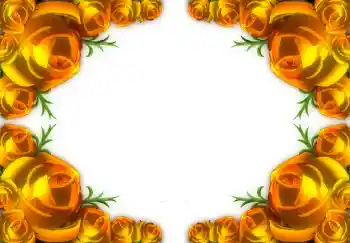 범주에서의 사진 효과 여성 프레임 № 1782