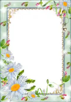 범주에서의 사진 효과 여성 프레임 № 179319