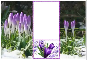 범주에서의 사진 효과 여성 프레임 № 179360