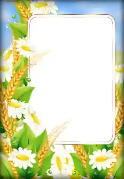 범주에서의 사진 효과 여성 프레임 № 179526