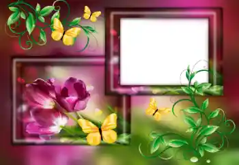 범주에서의 사진 효과 여성 프레임 № 179563