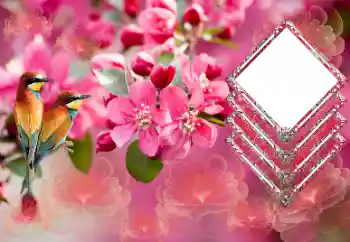 범주에서의 사진 효과 여성 프레임 № 179565