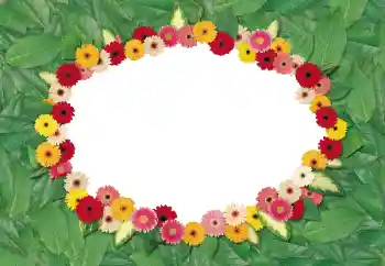 범주에서의 사진 효과 여성 프레임 № 180695