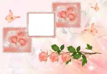 범주에서의 사진 효과 여성 프레임 № 180707